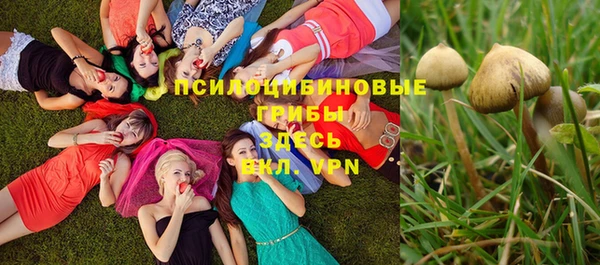 экстази Волоколамск