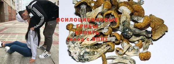 экстази Волоколамск