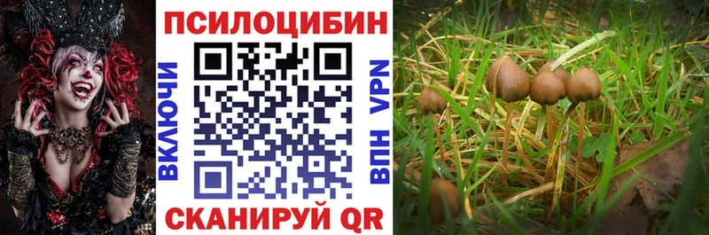 Псилоцибиновые грибы ЛСД omg ссылки Назарово